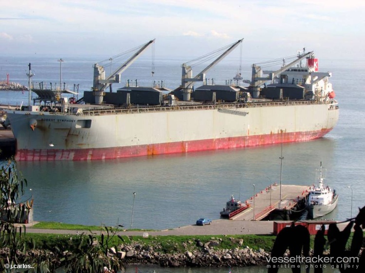 Forest-Symphony - Wood Chips Carrier vessel