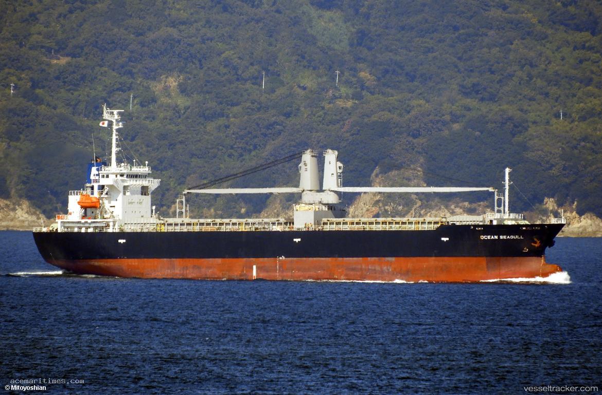 Ocean-Seagull - General Cargo Ship