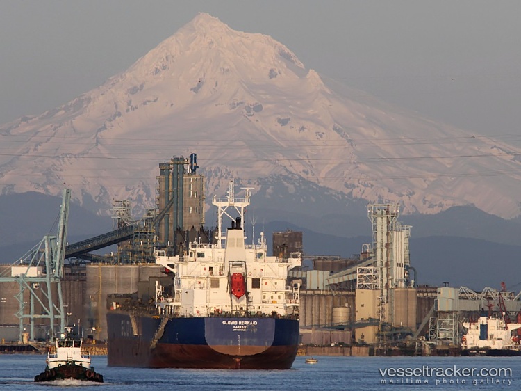 Unity-Mermaid - Bulk Carrier vessel