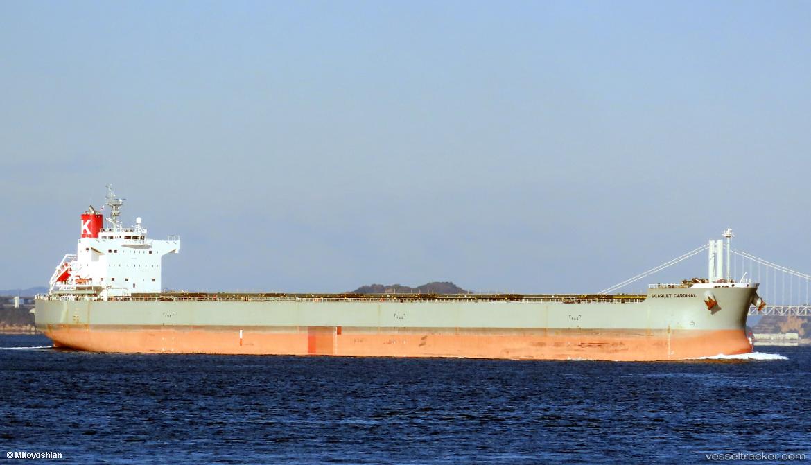 Scarlet-Cardinal - Bulk Carrier vessel