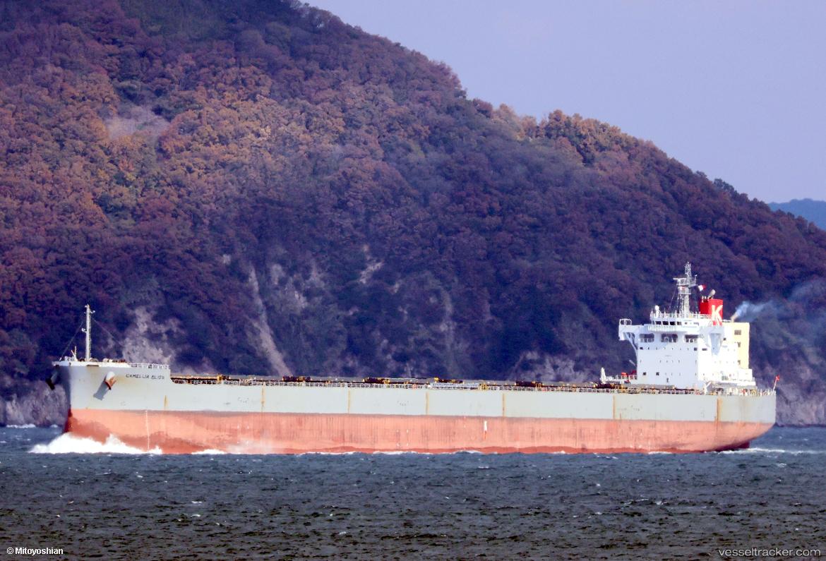 Camellia-Bliss - Bulk Carrier vessel