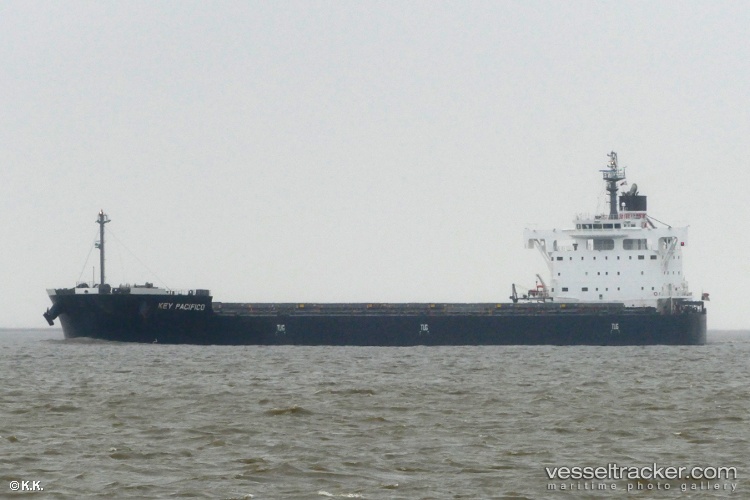 Ym-Pacifico - Bulk Carrier vessel