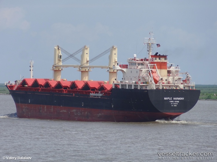 Zhen-Jing-61 - Bulk Carrier vessel