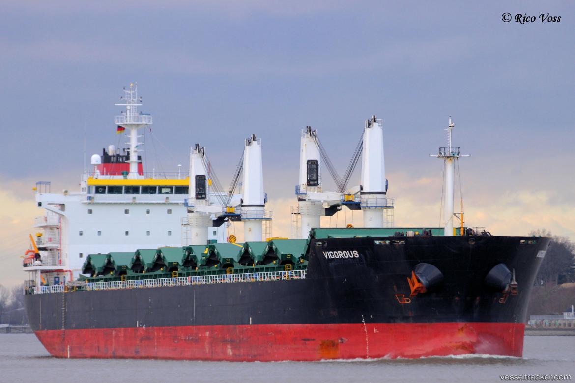 Vigorous - Bulk Carrier vessel