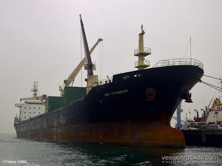 Elong-Elong - Bulk Carrier vessel