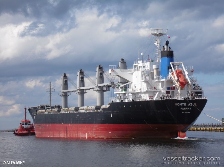 Sagittarius - Bulk Carrier vessel