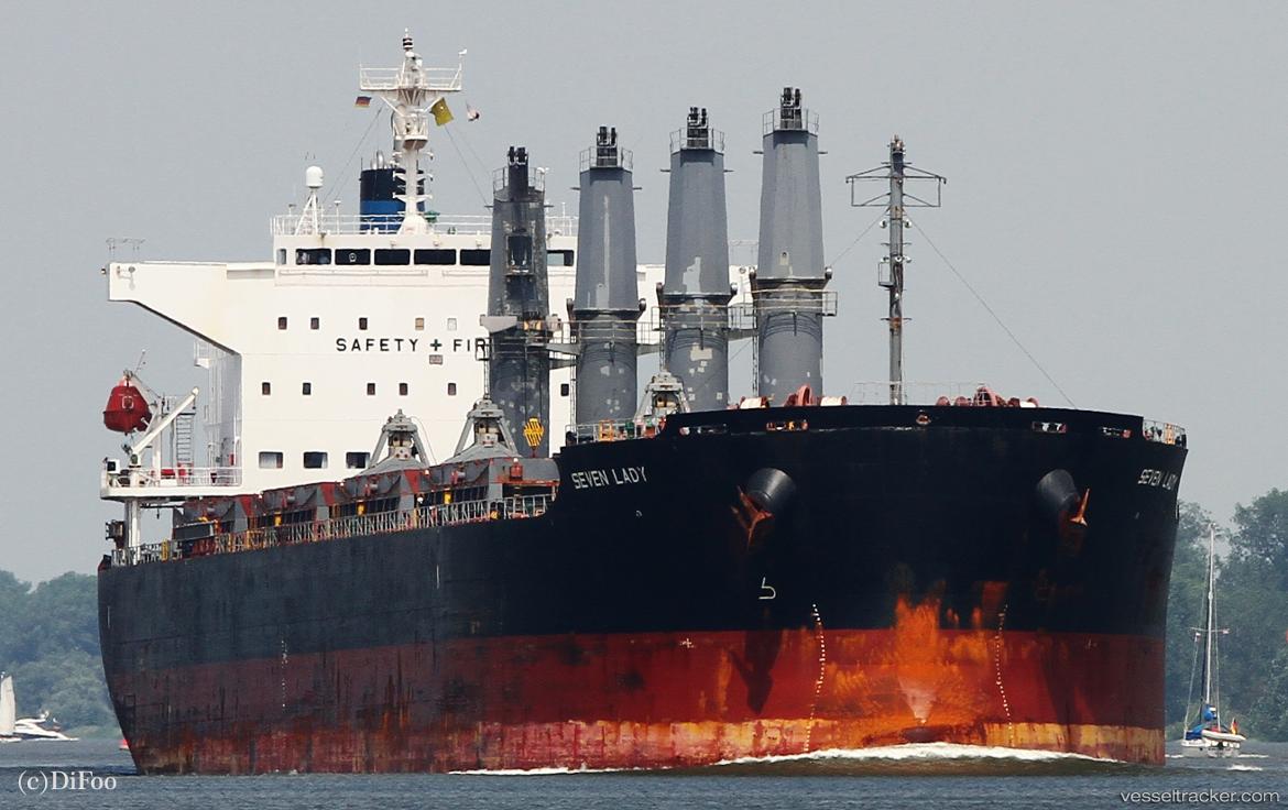 True-Friend - Bulk Carrier vessel