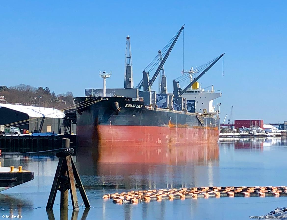 Supreme-Valor - Bulk Carrier vessel