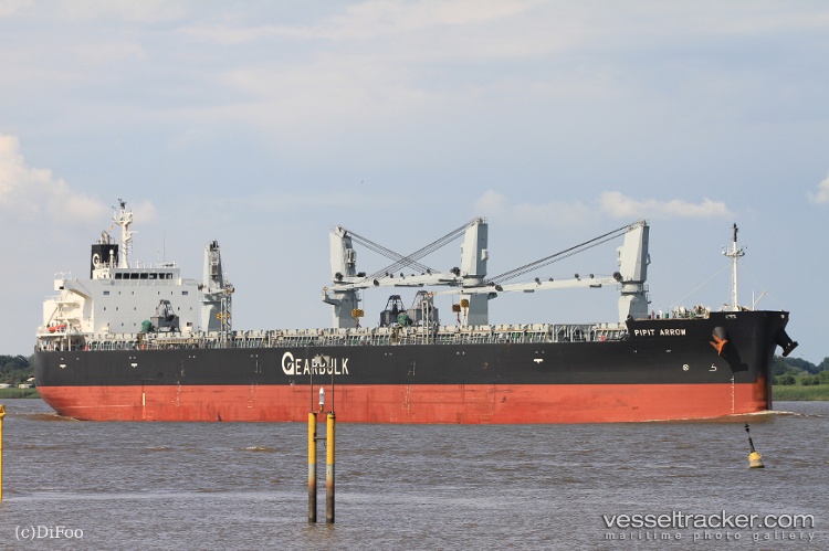 Pipit-Arrow - Bulk Carrier vessel