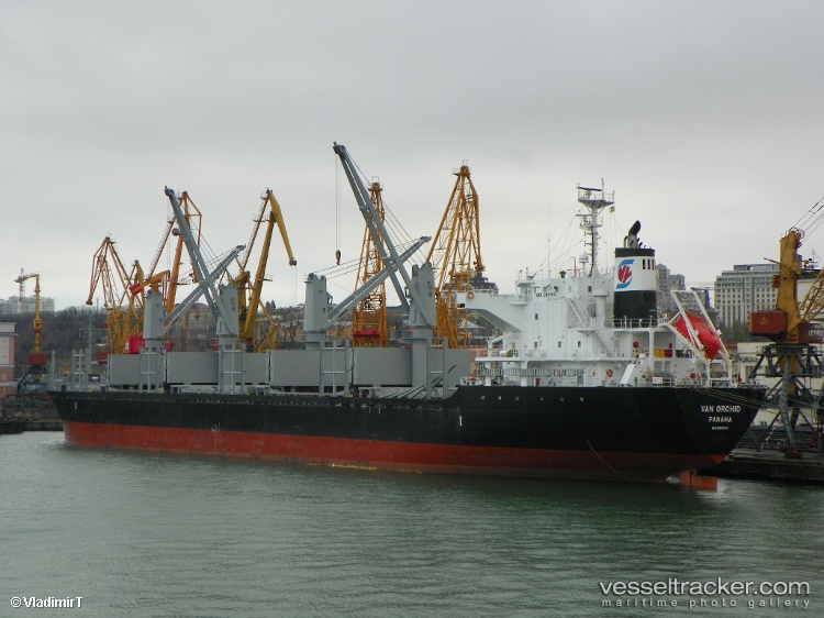 Apogee-Endeavour - Bulk Carrier vessel