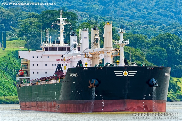 Phoenix - Bulk Carrier vessel