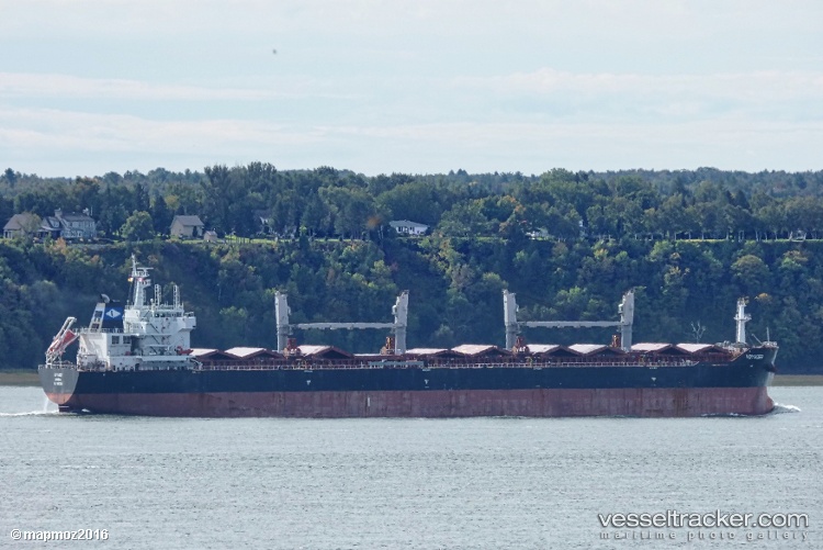 Voyager - Bulk Carrier vessel