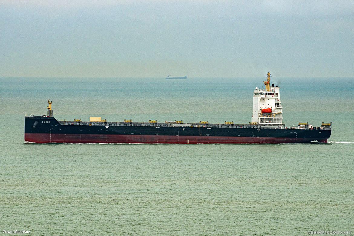 Little-Warrior - Container Ship vessel