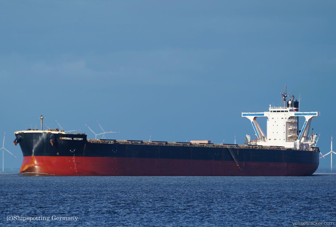 Cardinal-Victory - Bulk Carrier vessel