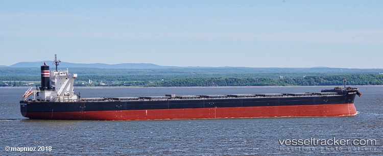 Cape-Crane - Bulk Carrier vessel