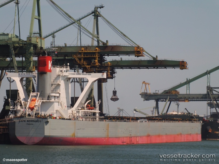 Cape-Normandy - Bulk Carrier vessel