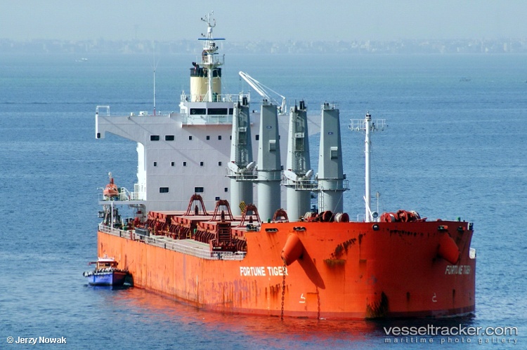 Fortune-Tiger - Bulk Carrier vessel