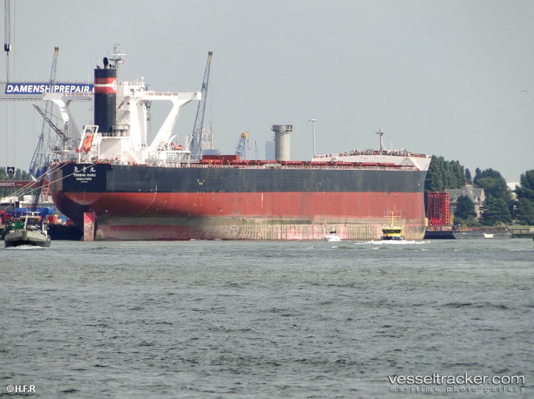 Berge-Nyangani - Bulk Carrier vessel