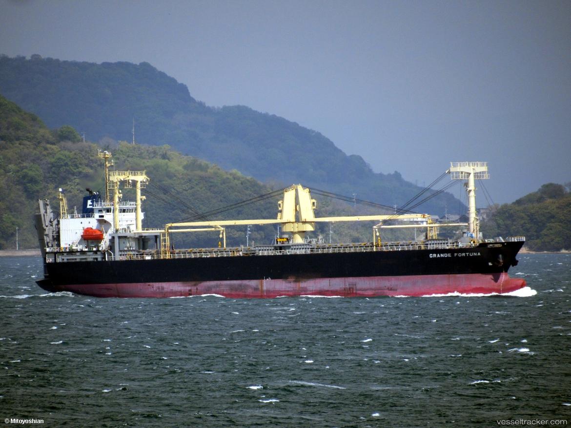 Grande-Fortuna - General Cargo Ship vessel