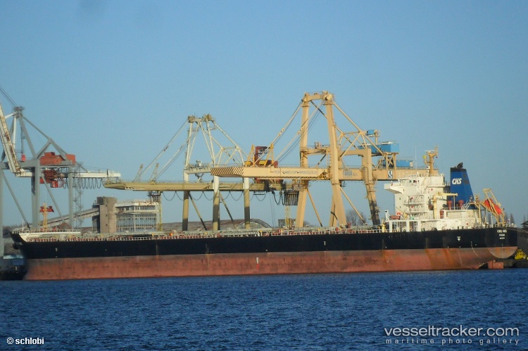 Hong-Hing - Bulk Carrier vessel