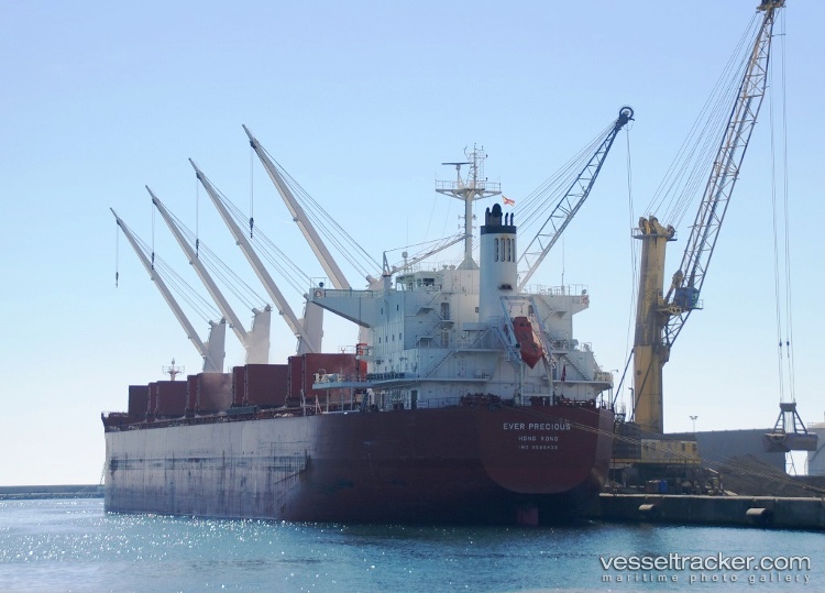 Sanctum - Bulk Carrier vessel