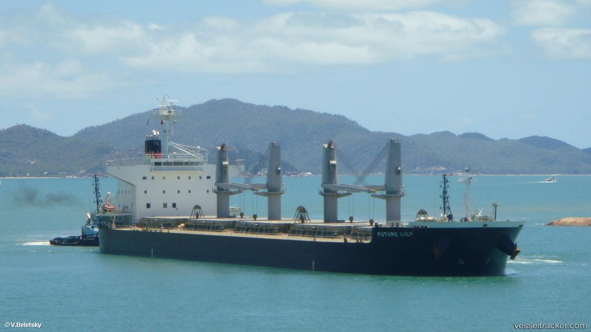 Future - Bulk Carrier vessel