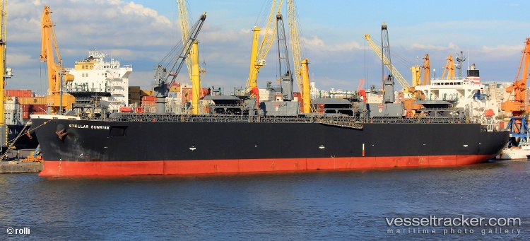 Stellar-Sunrise - Wood Chips Carrier vessel