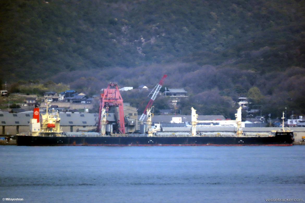 Ttm-Success - Bulk Carrier vessel