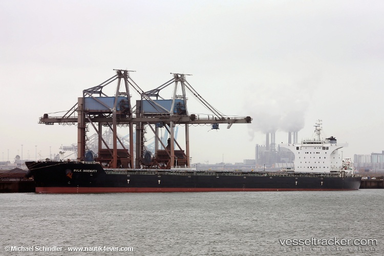 Ingenuity - Bulk Carrier vessel