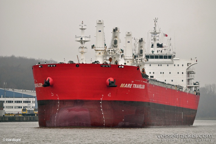 Zhong-Chang-528 - Bulk Carrier vessel