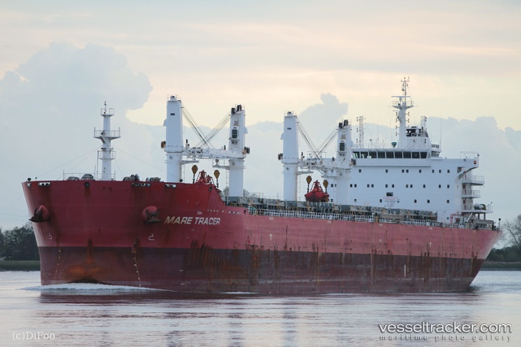 Ns-Qingdao - Bulk Carrier vessel