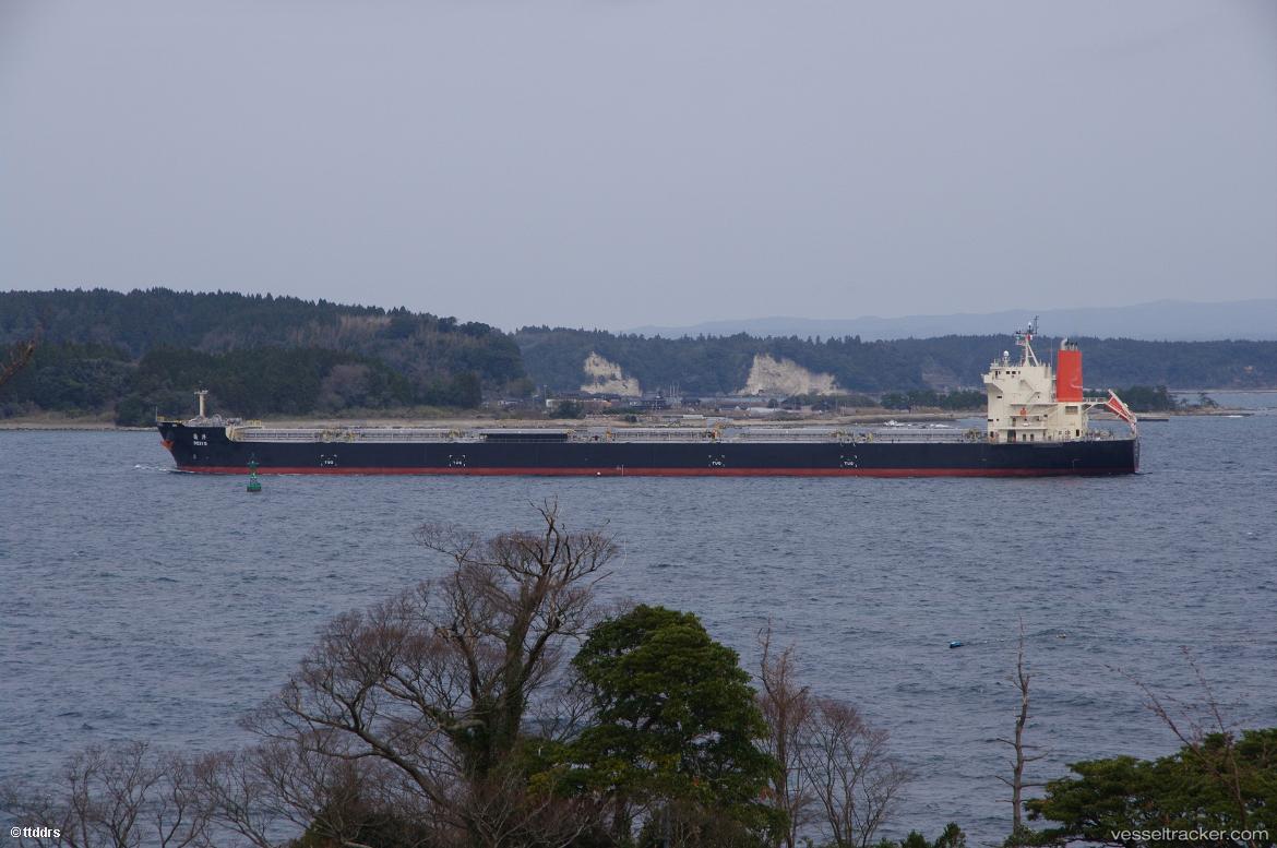 Reiyo - Bulk Carrier vessel