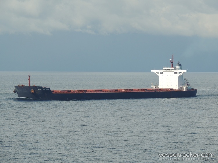 Solar-Hope - Bulk Carrier vessel