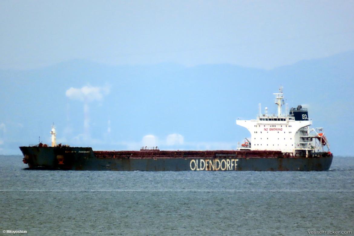 Mountain-Lion - Bulk Carrier vessel