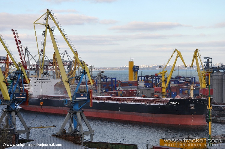 Piavia - Bulk Carrier vessel
