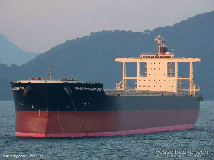 Seattle-Slew - Bulk Carrier vessel
