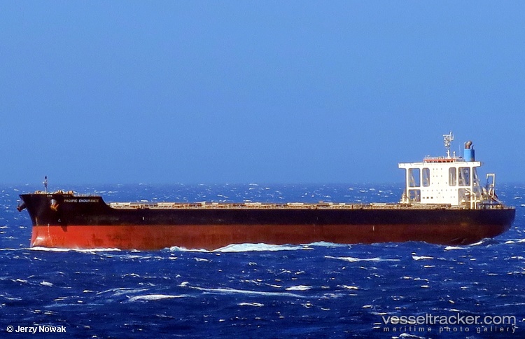 Pacifist - Bulk Carrier vessel