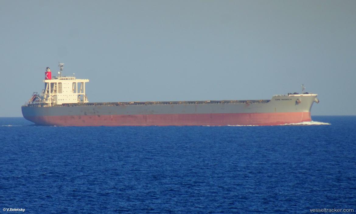 Cape-Magnolia - Bulk Carrier vessel