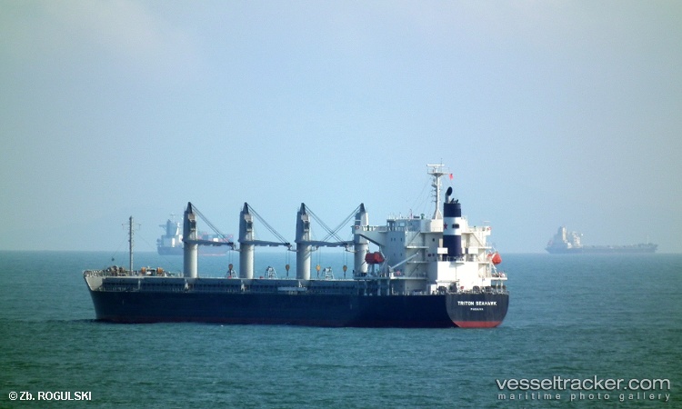 Stellar-Lady - Bulk Carrier vessel