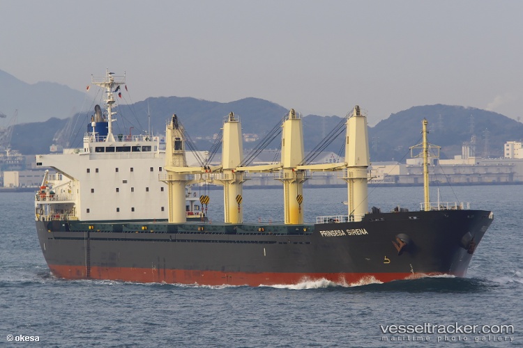 Matros-Shevchenko - Bulk Carrier