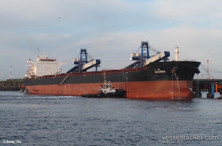 Ricsea - Bulk Carrier vessel
