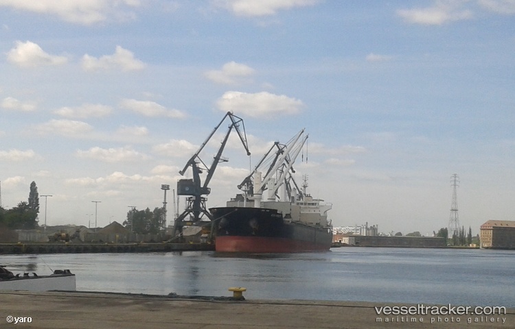 Team-View - Bulk Carrier vessel