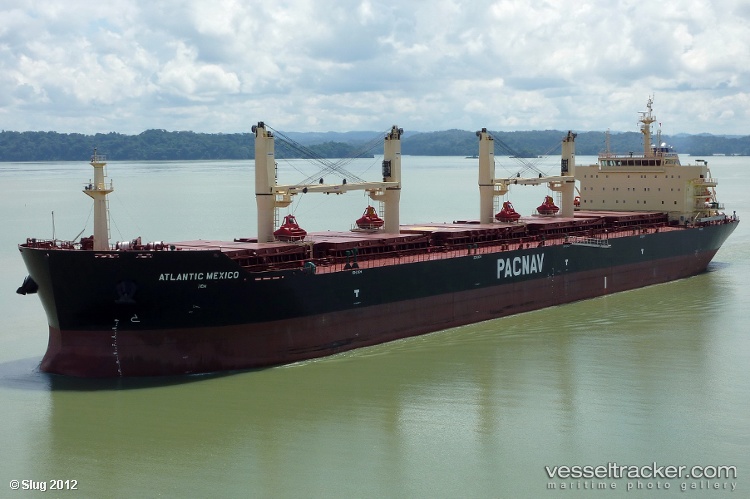 Grey-Luna - Bulk Carrier vessel