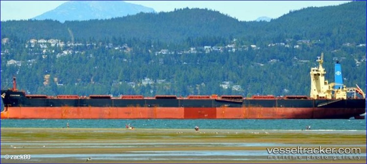 Amigo-Ii - Bulk Carrier vessel