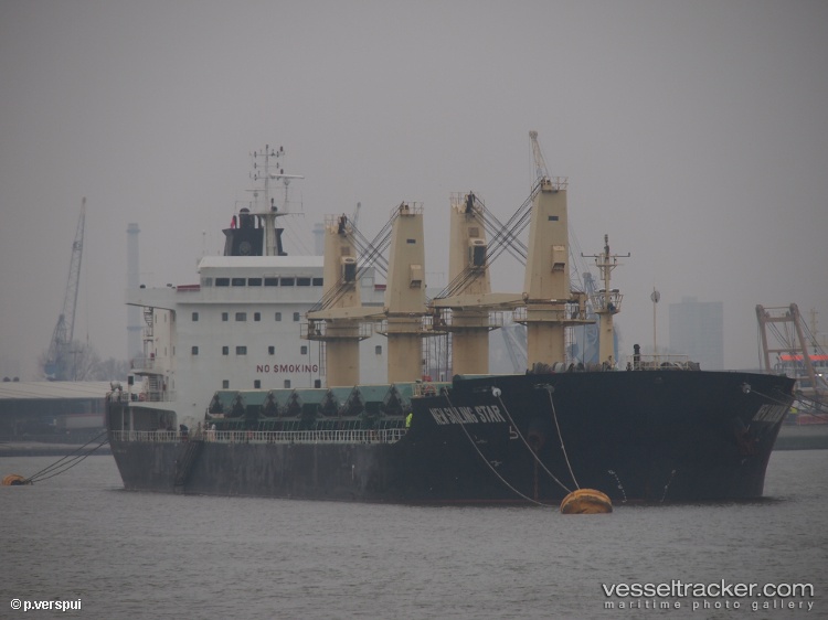 Tan-Binh-239 - Bulk Carrier vessel