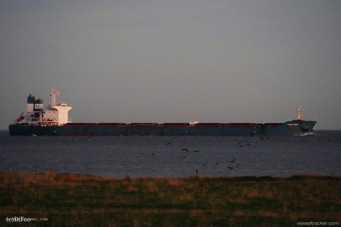 Marine-Bright - Bulk Carrier