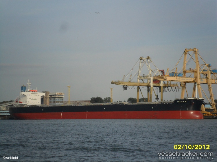 Bull - Bulk Carrier vessel