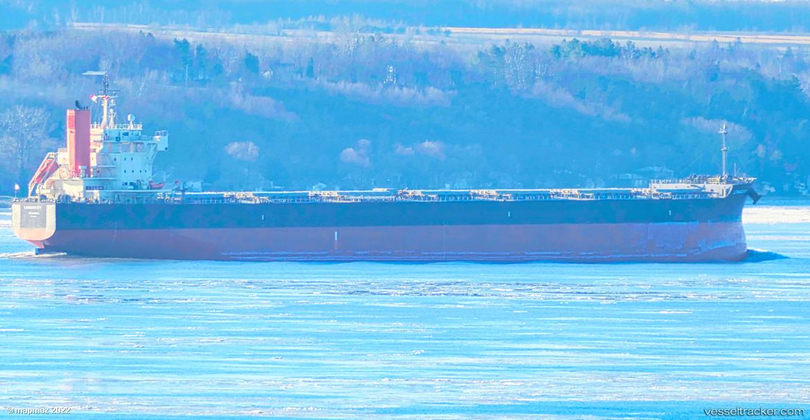 Longevity - Bulk Carrier vessel