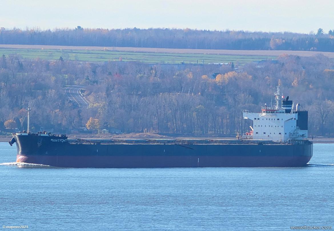 Mont-Fort - Bulk Carrier vessel