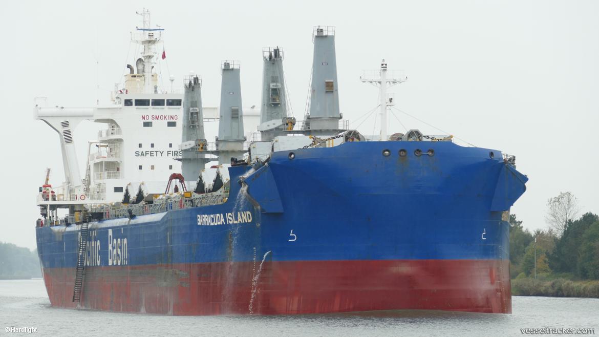Barracuda-Island - Bulk Carrier vessel